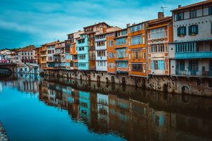 Traitement punaises de lit Castres